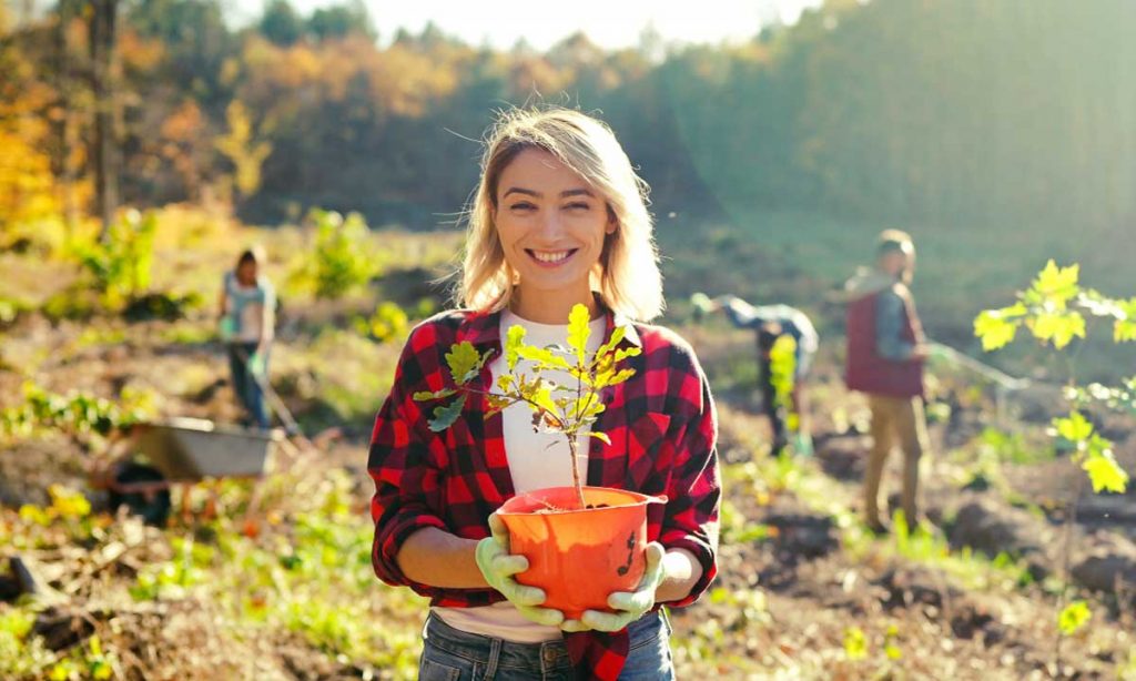 Connect health promotion and climate protection by Planting trees