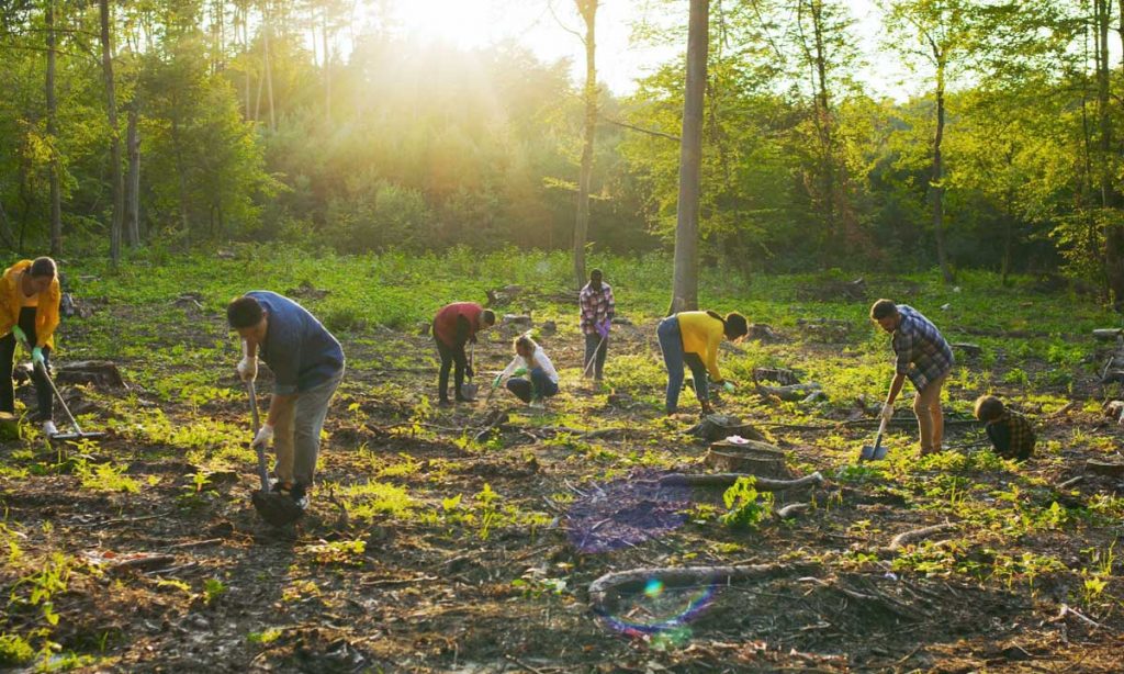 Tree planting partners worldwide